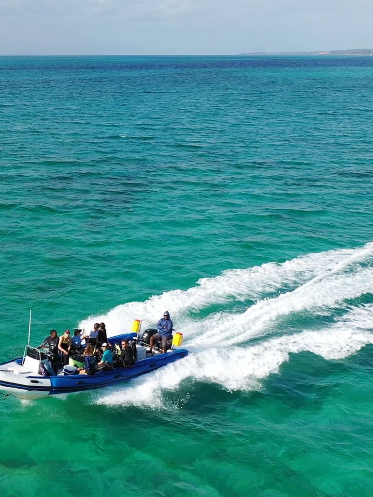 plongeurs bateau